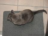 2006-09-11_Caressa_Toto_021