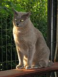 2006-09-11_Caressa_Toto_024
