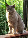 2006-09-11_Caressa_Toto_026