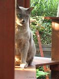 2006-09-11_Caressa_Toto_028