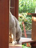 2006-09-11_Caressa_Toto_029