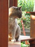 2006-09-11_Caressa_Toto_030