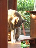 2006-09-11_Caressa_Toto_031