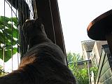 2006-09-11_Caressa_Toto_034