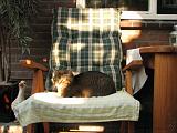 2006-09-11_Caressa_Toto_042