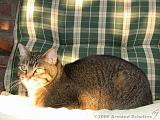 2006-09-11_Caressa_Toto_043