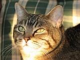 2006-09-11_Caressa_Toto_045