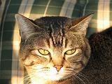 2006-09-11_Caressa_Toto_047