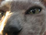2006-09-11_Caressa_Toto_049