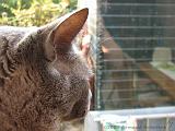 2006-09-11_Caressa_Toto_051