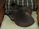2006-09-11_Caressa_Toto_054