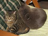 2006-09-11_Caressa_Toto_057