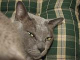 2006-09-11_Caressa_Toto_059