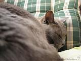 2006-09-11_Caressa_Toto_060