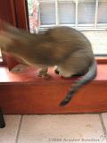2006-09-11_Caressa_Toto_061