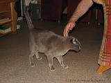 2006-09-11_Caressa_Toto_062