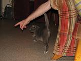 2006-09-11_Caressa_Toto_063