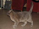 2006-09-11_Caressa_Toto_064