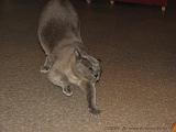 2006-09-11_Caressa_Toto_065