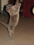 2006-09-11_Caressa_Toto_066