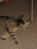 2006-09-11_Caressa_Toto_068