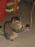 2006-09-11_Caressa_Toto_069