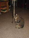 2006-09-11_Caressa_Toto_072