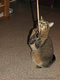 2006-09-11_Caressa_Toto_073
