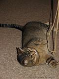 2006-09-11_Caressa_Toto_075