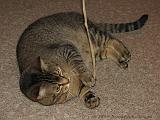 2006-09-11_Caressa_Toto_077