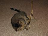 2006-09-11_Caressa_Toto_078