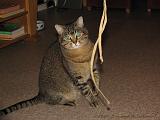 2006-09-11_Caressa_Toto_082