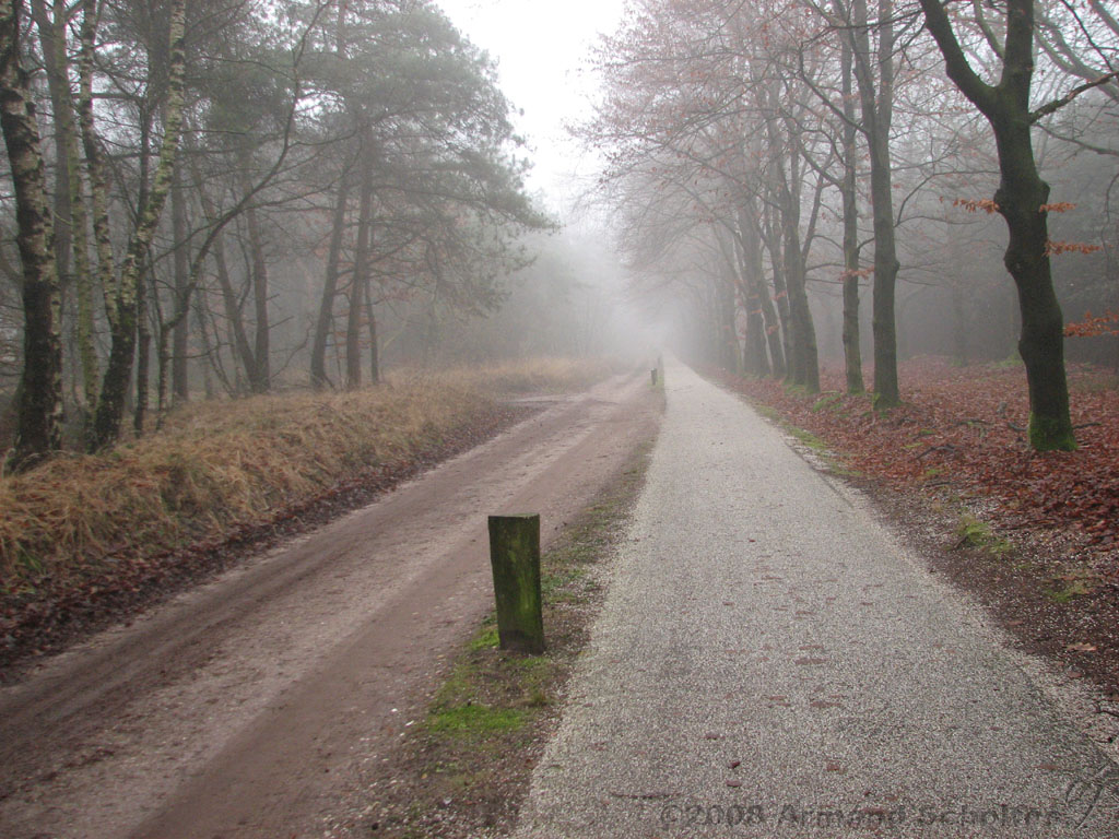 mistwandeling_001.jpg