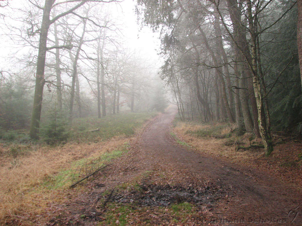mistwandeling_004.jpg