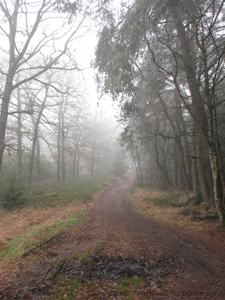 mistwandeling_005.jpg