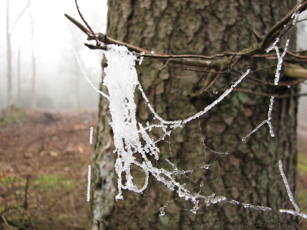 mistwandeling_015.jpg
