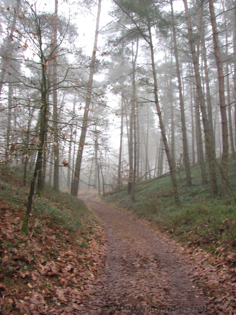 mistwandeling_021.jpg