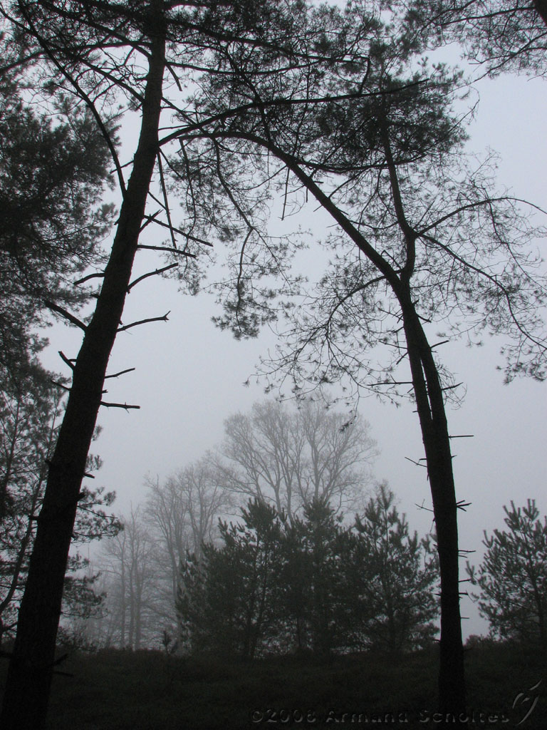 mistwandeling_023.jpg