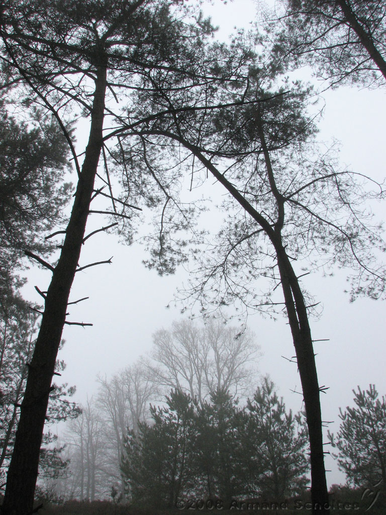mistwandeling_024.jpg