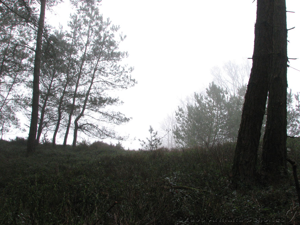 mistwandeling_025.jpg