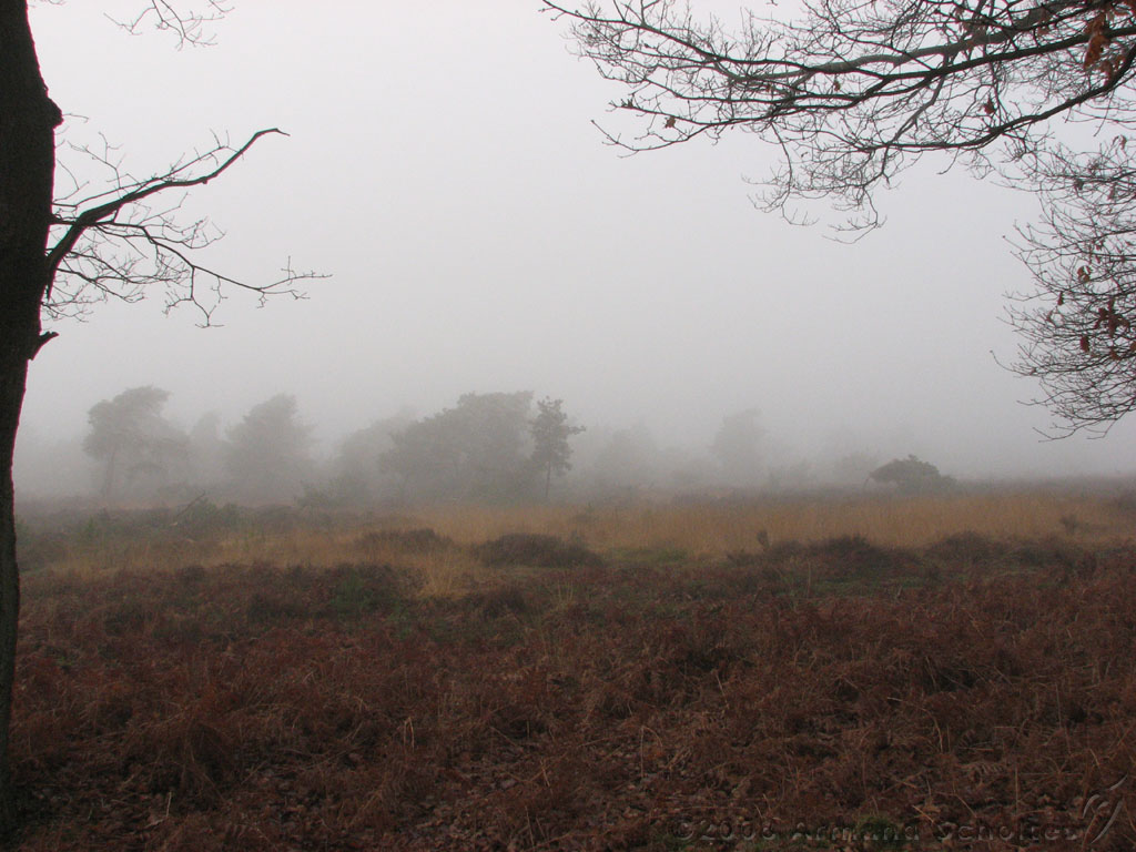 mistwandeling_031.jpg