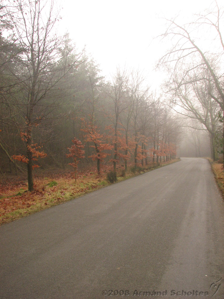mistwandeling_034.jpg