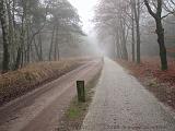 mistwandeling_001