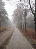 mistwandeling_002