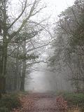 mistwandeling_003