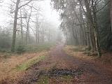 mistwandeling_004