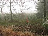 mistwandeling_013