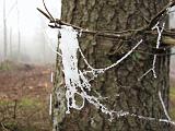 mistwandeling_015