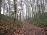 mistwandeling_020