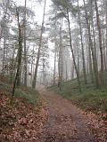 mistwandeling_021